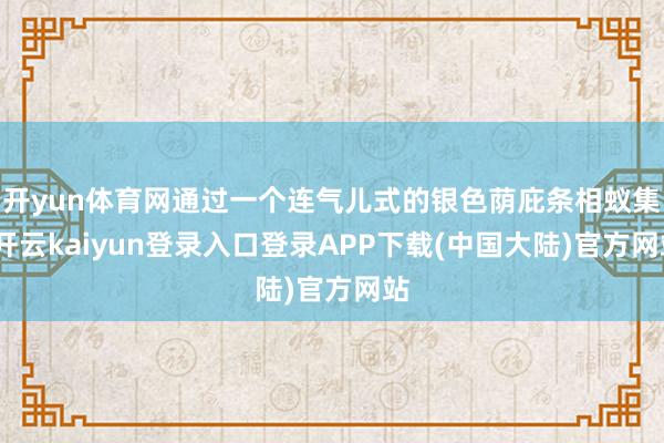 开yun体育网通过一个连气儿式的银色荫庇条相蚁集-开云kaiyun登录入口登录APP下载(中国大陆)官方网站