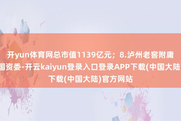 开yun体育网总市值1139亿元；8.泸州老窖附庸于泸州市国资委-开云kaiyun登录入口登录APP下载(中国大陆)官方网站