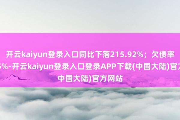 开云kaiyun登录入口同比下落215.92%；欠债率95.95%-开云kaiyun登录入口登录APP下载(中国大陆)官方网站