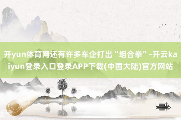 开yun体育网还有许多车企打出“组合拳”-开云kaiyun登录入口登录APP下载(中国大陆)官方网站